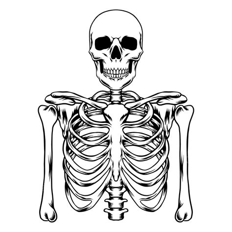 Hand Drawing Skeleton Hand Royalty Free Vector Image | The Best Porn ...