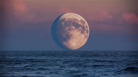 Premium Photo | Closeup shot of the waxing gibbous moon with visible craters and the sea of ...