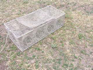 Cowgirl's Country Life: Homemade Crawdad Traps