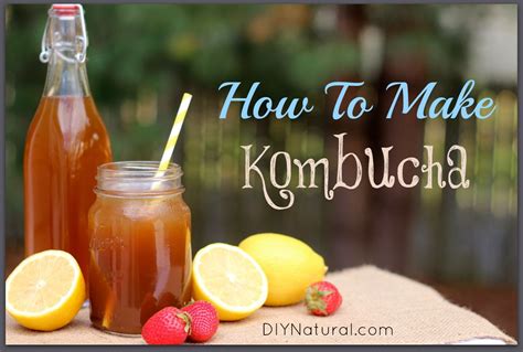 How To Make Kombucha: A Kombucha Recipe and The Benefits