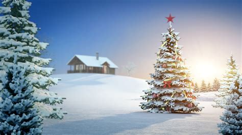 🔥 [56+] Christmas Tree Desktop Wallpapers | WallpaperSafari