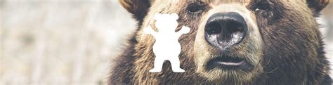 Big Grizzly Skate Logo - LogoDix