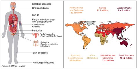 Fungal Nail Infection Prescription Cation - Nail Ftempo