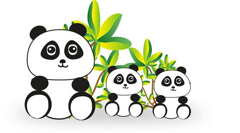 Famous Pandas Animadas Png 2022 - vrogue.co