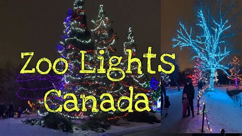 Zoo Light | Christmast Lights | Assiniboine Park Winnipeg Canada ...