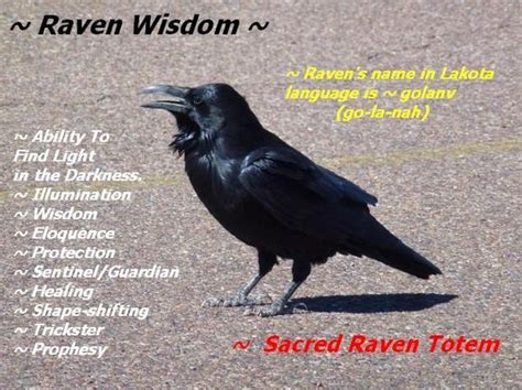 A Little Raven Wisdom – Witches Of The Craft® Raven Spirit Animal ...