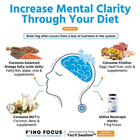 Increase Your Mental Clarity Through Your Diet👇 | Nootropics, Mental ...