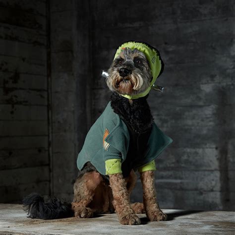 10 Scream-worthy Scary Dog Costumes for Halloween