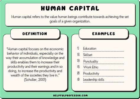 15 Human Capital Examples (2024)