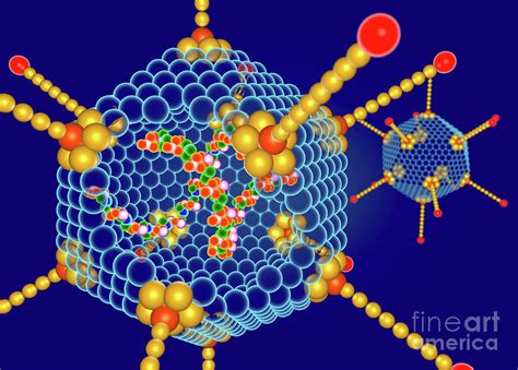 Adenovirus Structure Photograph by Roger Harris/science Photo Library ...