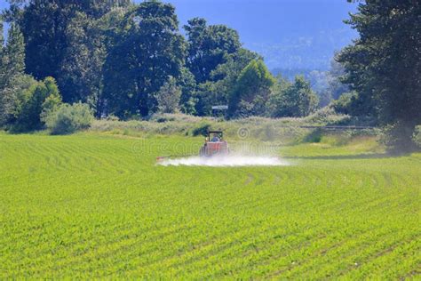 Water crops irrigation stock image. Image of plant, gardening - 20592011