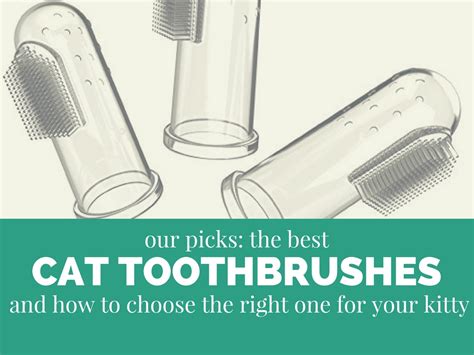 Best Cat Toothbrush - Keep Your Cat's Teeth Clean in 2018