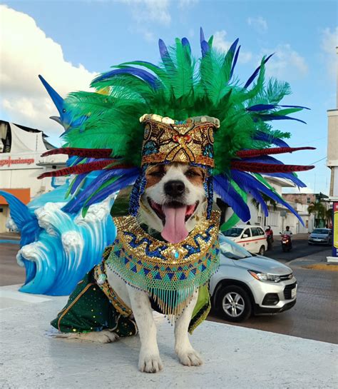 Cozumel Celebrates Caribbean Carnival - This is Cozumel