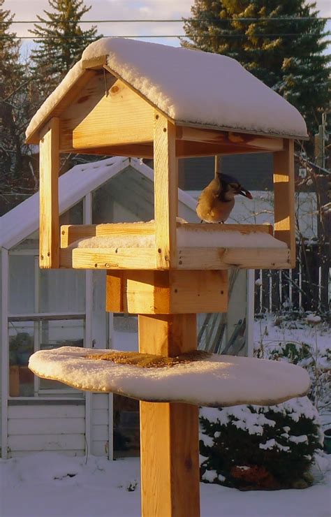 Backyard Garden : Wooden Bird Feeder Stand and Feeder Tube