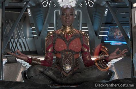 Okoye & The Dora Milaje - Black Panther Costume Info