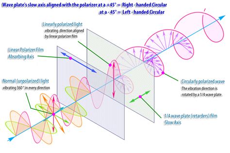 Polarizer Film | About Polarizer