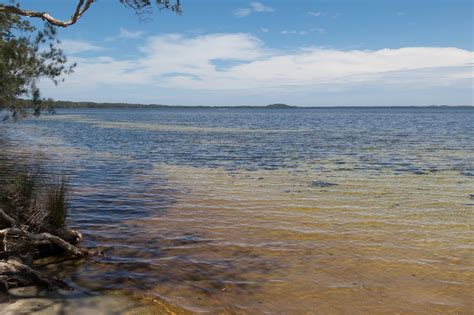 Day 12 - Myall Lakes National Park · Daerr.com · Underwater. Photo. Stories.