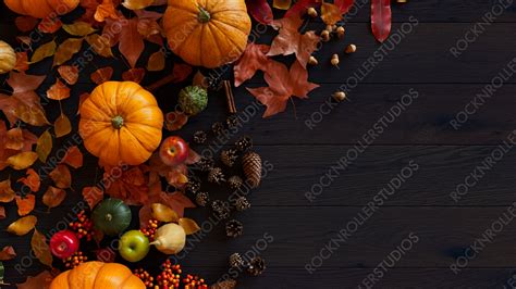 Thanksgiving Wallpaper with Fall leaves, Gourds and Acorns on a Dark w ...