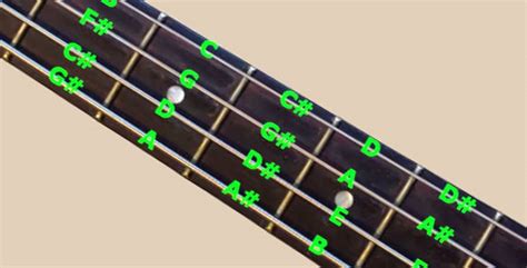 4 String Bass Guitar Chord Chart