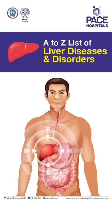 List of Liver Diseases and Disorders - A to Z | Dept. of Hepatology