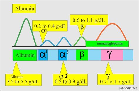 Albumin (Serum Albumin) - Labpedia.net