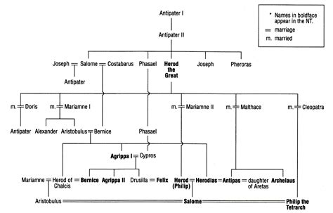 Vox clamantis in deserto: Albero genealogico della dinastia di Erode