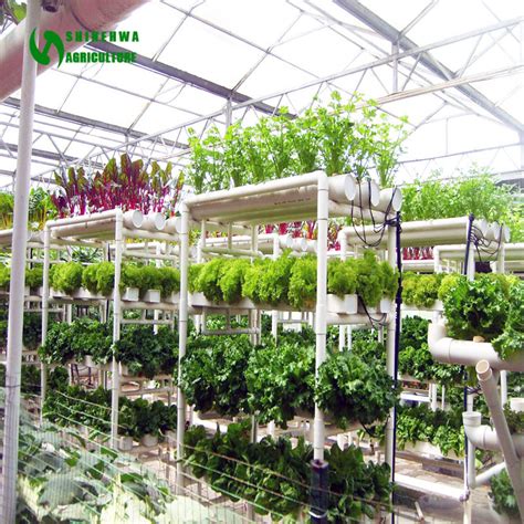 Commercial Hydroponics Greenhouse with Vertical Nft PVC Pipe - China Hydroponnics and Nft ...