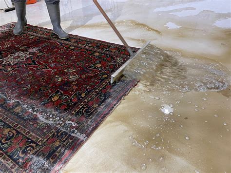 How Often Should I Clean My Rugs Portland | Renaissance Rug Clean