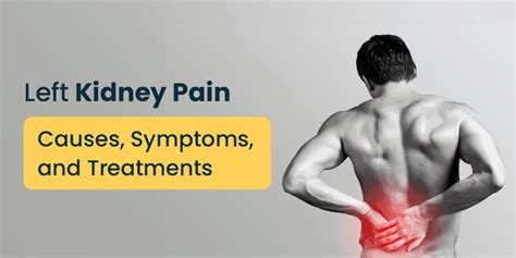 Left Kidney Pain: Causes, Symptoms, and Treatments