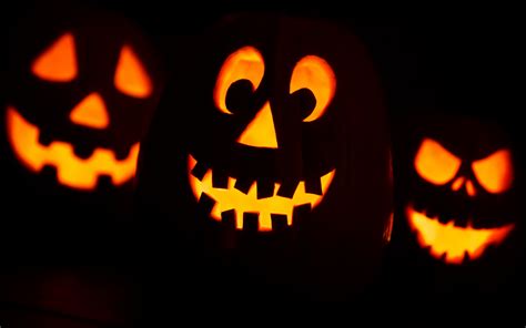 Halloween Pumpkin Faces Free Stock Photo - Public Domain Pictures