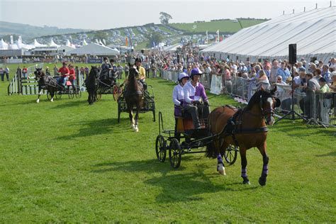 Equine Schedule 2023 – Westmorland County Agricultural Society