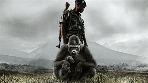 Virunga (2014) — The Movie Database (TMDb)