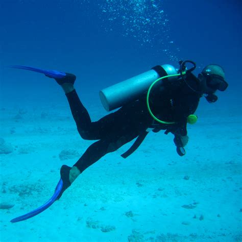 Scuba diving - Wikipedia