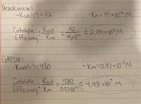 Solved Is this how you calculate the catalytic efficiency of | Chegg.com