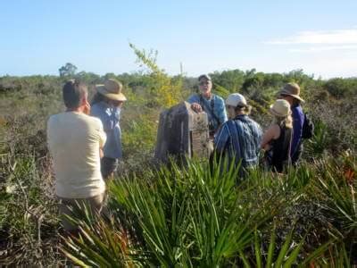 Private Small-Group Boat Tours at Rookery Bay Reserve | Must Do Visitor Guides