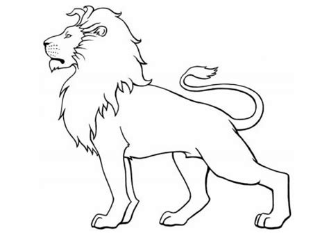 35+ Ideas For Lion Pencil Drawing Outline | Creative Things Thursday