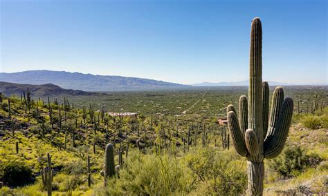 Mount Lemmon Cabins | Cabins and More | Airbnb