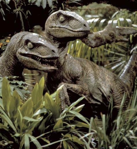 Velociraptor - Wiki Jurassic Park