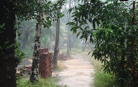 Climate in kerala ~ Kerala - Information Portal