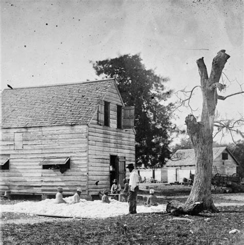 The Civil War Photo: Cotton Plantation