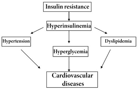 Hyperinsulinemia – Prof. dr Teodora Beljić Živković