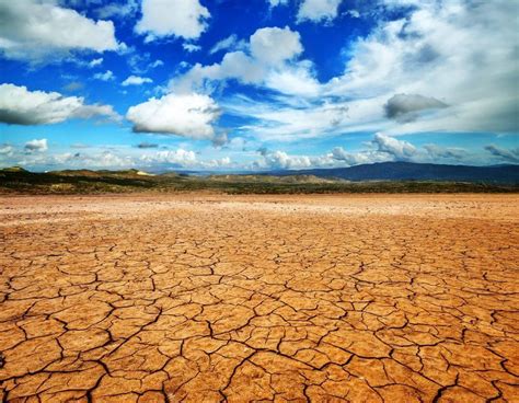 Desert Ecosystems | Exploring the World's Driest Landscapes | edZOOcating