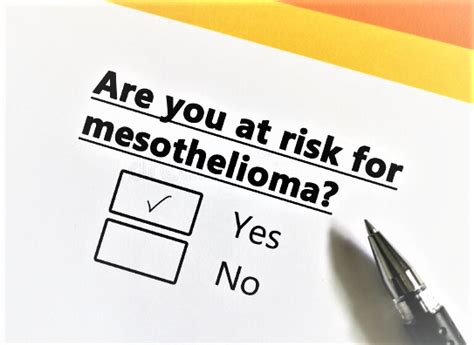 Understanding Mesothelioma: Causes, Symptoms, and Treatment - Milsums Review | Best Amazon ...