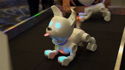 Meet Dog-E, a Robo Dog That’s Just Like the Real Thing | Inside Edition