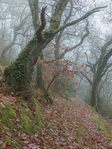 Top Locations in Wales - A Landscape Photography Paradise — Brad Carr ...