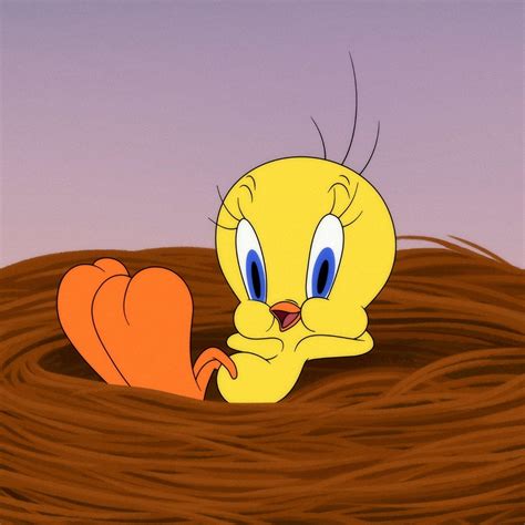 21 Facts About Tweety Bird (Looney Tunes) - Facts.net