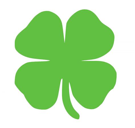 Shamrock For St Patrick's Day Free Stock Photo - Public Domain Pictures