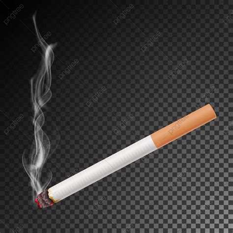 Realistic Cigarette With Smoke Vector Isolated Illustration Burning Classic Smoking Cigarette On ...