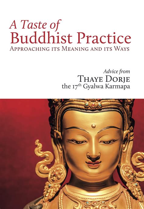 A Taste of Buddhist Practice: Approaching its Meaning and Its Ways by Karmapa Thaye Dorje ...