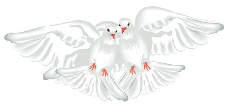 Tổng hợp 600 Background wedding dove png Chất lượng cao và tuyệt đẹp
